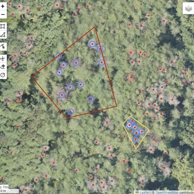 Forest Pest and Disease (Pine Wilt Disease) Detection System 2
